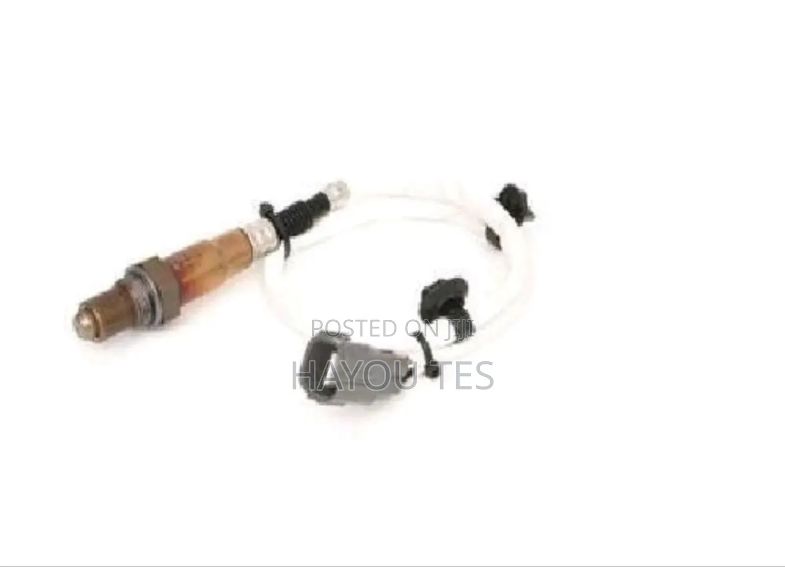 Oxygen Sensor