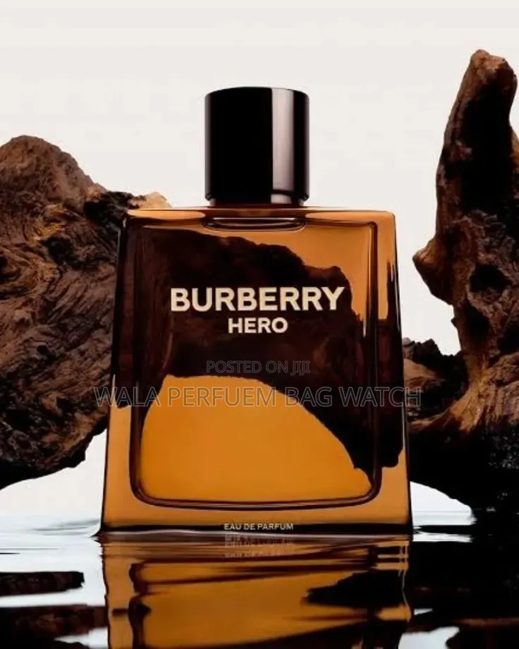 Burberry Hero for Men