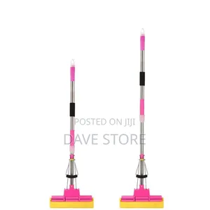 Double Roller Sponge Mop
