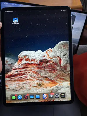 Apple iPad Pro 128 GB Gray