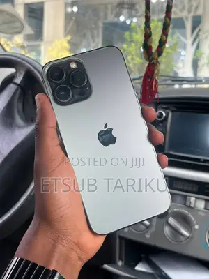 Apple iPhone 13 Pro Max 256 GB Gray