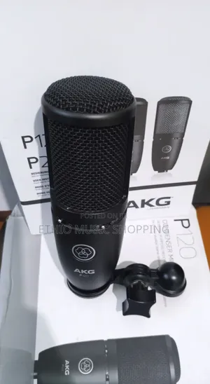 Akg P129 Studio Mic
