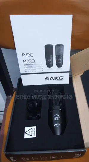 Akg P129 Studio Mic