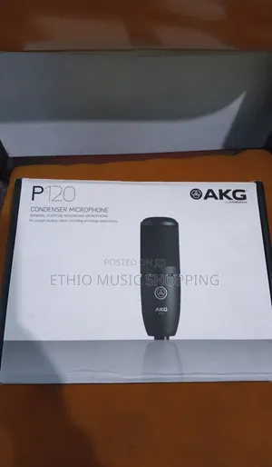 Akg P129 Studio Mic