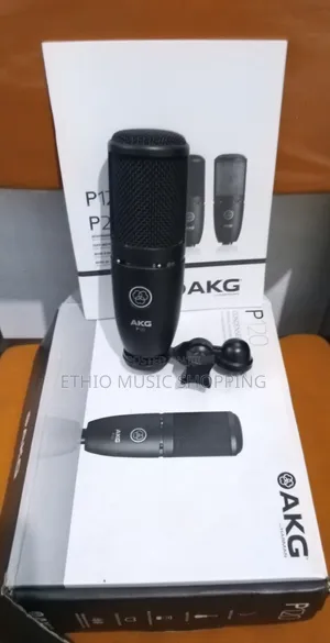 Akg P129 Studio Mic