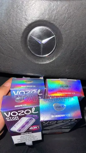 VOZOL Vape