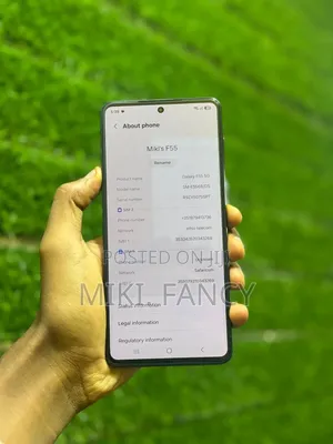 Samsung Galaxy F55 128 GB Gray