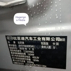 New BYD Yuan Plus 2025 Ivory