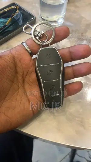 Byd Car Key Protector