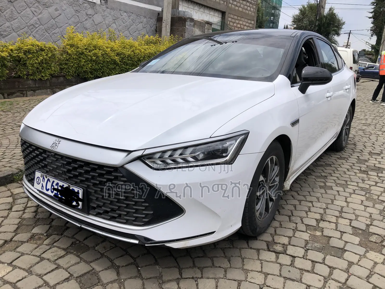 BYD Qin Plus DM-i 2024 White
