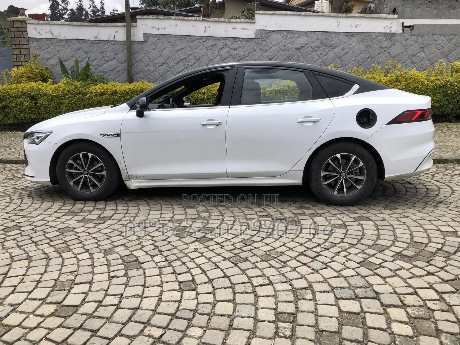 BYD Qin Plus DM-i 2024 White
