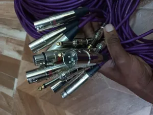 Mic Cable and Zoomer Cable