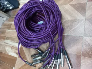 Mic Cable and Zoomer Cable