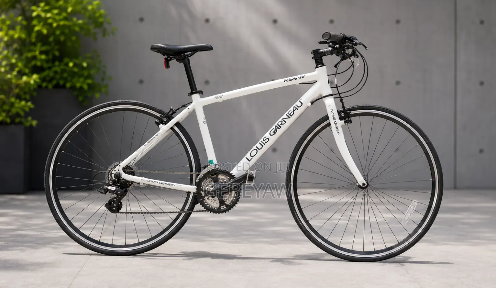 Gravel Bikes
