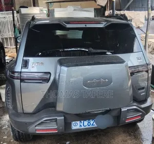 BYD Leopard 3 2025 Gray