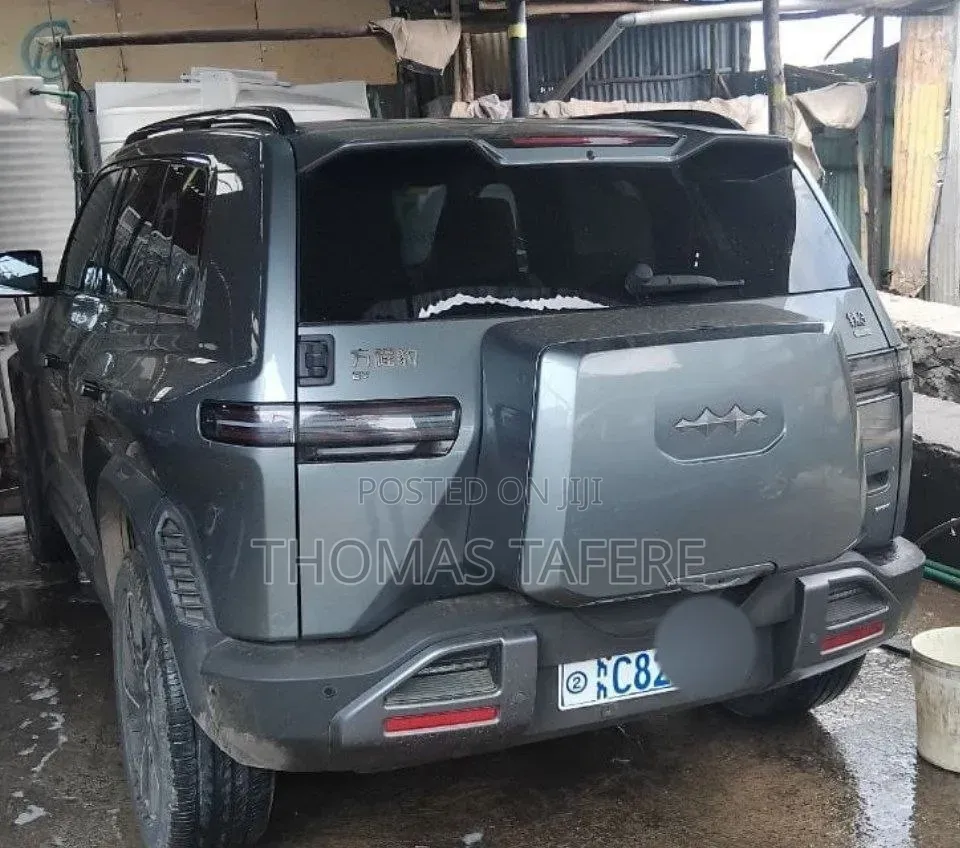 BYD Leopard 3 2025 Gray