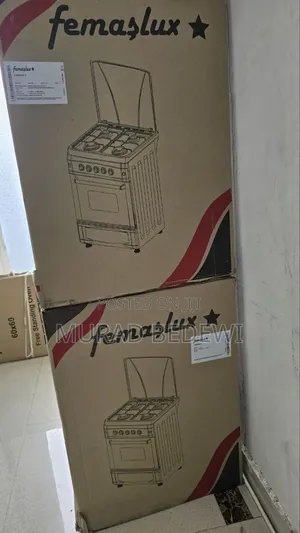 Four Electric Oven Standing