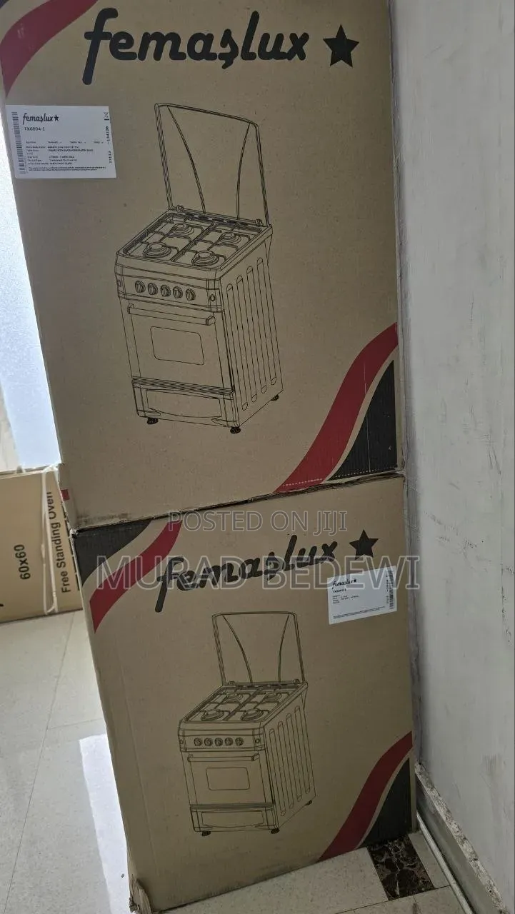 Four Electric Oven Standing