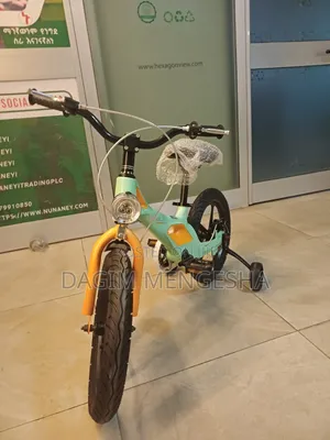 ኃይለኛ እና ጠንካራ ብስክሌት. Bike for Kid