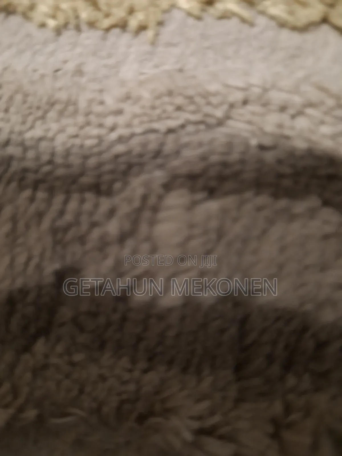New BYD Seal 6 EV 2025 Gray