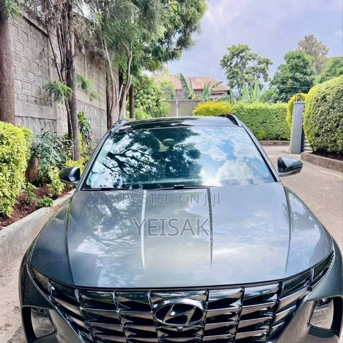 Hyundai Tucson 2023 Green