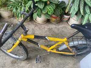 Creeper Bicycle