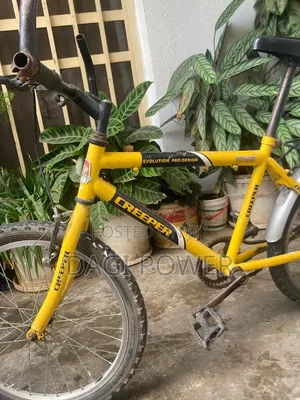 Creeper Bicycle