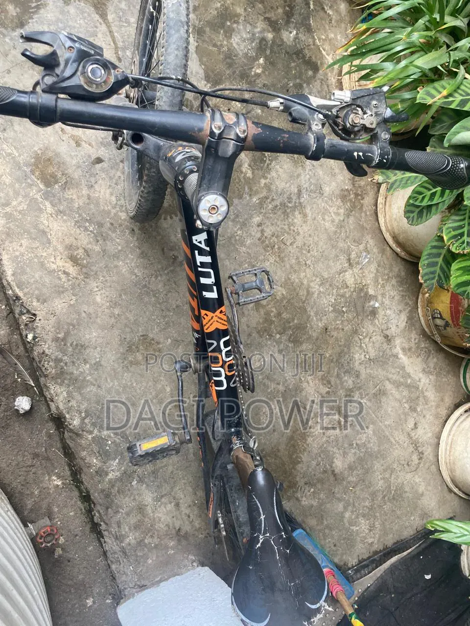 Luta Bicycle