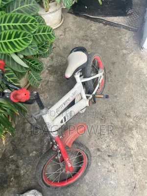 Bicycle for Kids