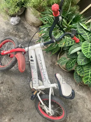 Bicycle for Kids