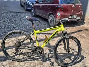Phonex Bike