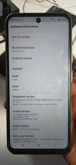Samsung Galaxy A56 256 GB Silver