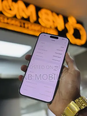 Apple iPhone 15 Pro Max 256 GB Silver