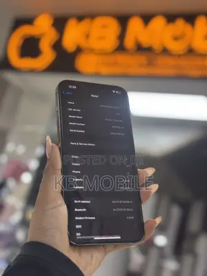 Apple iPhone 13 Pro Max 128 GB Green