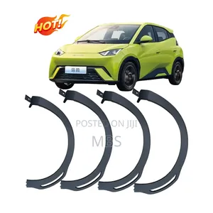 BYD Segul Fender Designed as Exterior Body Trim for the BYD Seagull