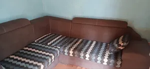አንድ ዓመት ብቻያገለገለ ምርጥ ኤሊ ሼፕ ሶፋ