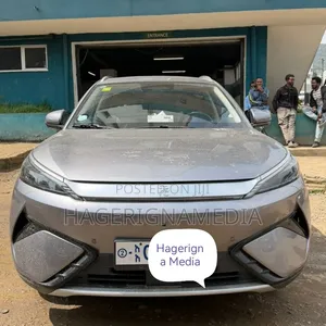 BYD Yuan Plus 2025 Gray