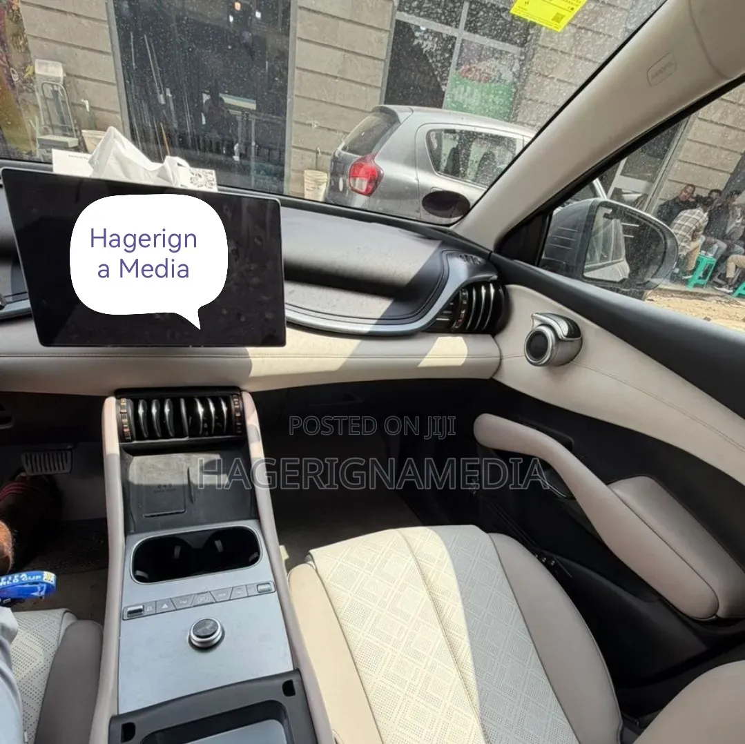 BYD Yuan Plus 2025 Gray