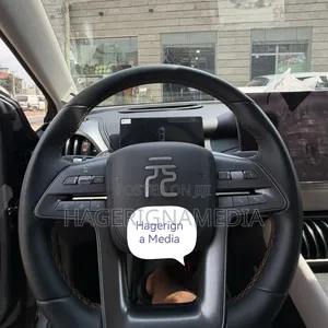 BYD Yuan Plus 2025 Gray
