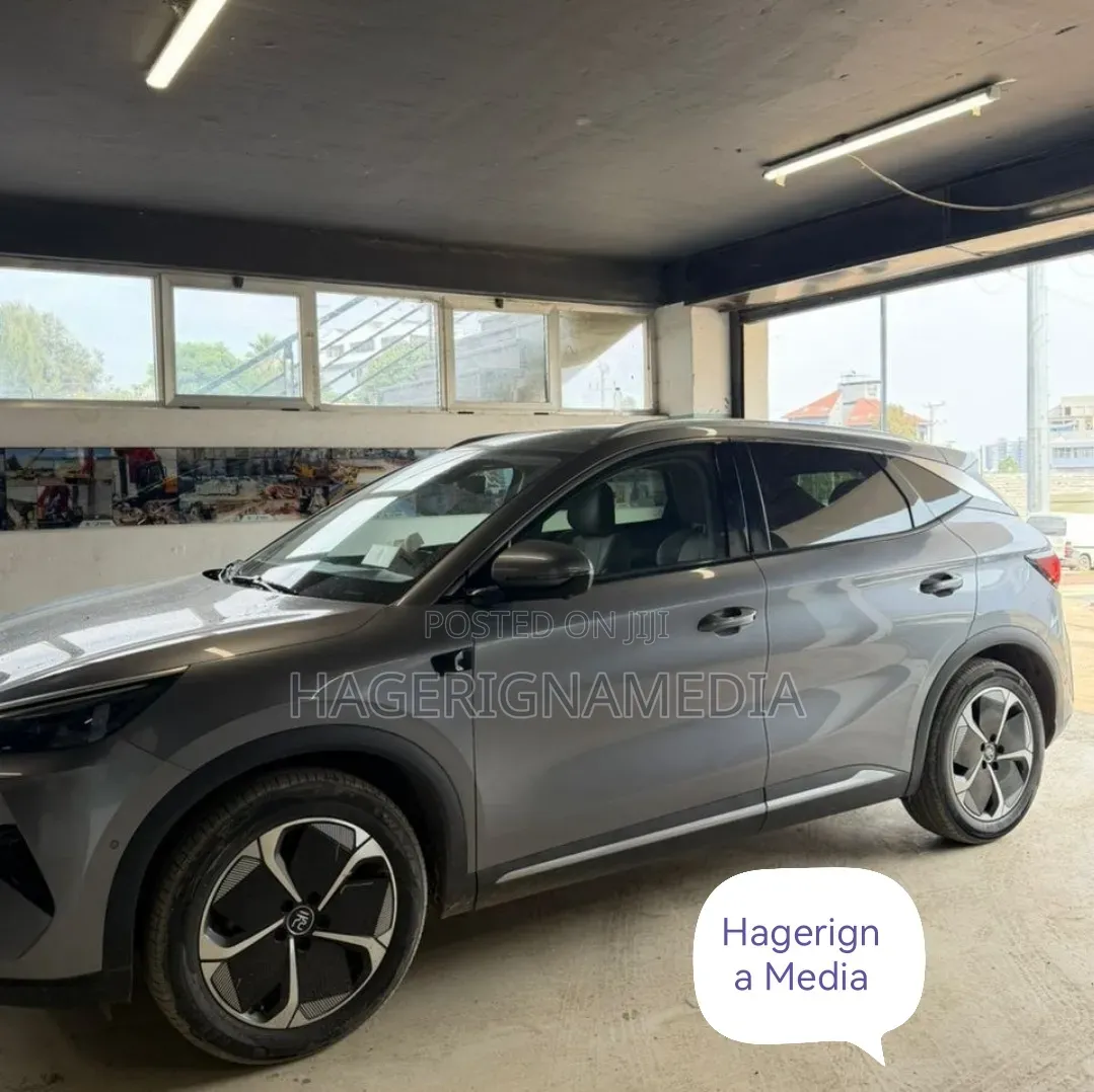 BYD Yuan Plus 2025 Gray