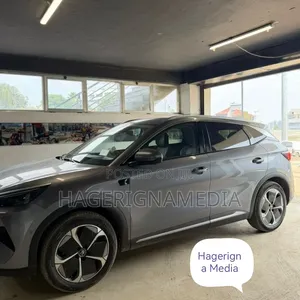 BYD Yuan Plus 2025 Gray