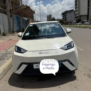BYD Seagull 2025 White