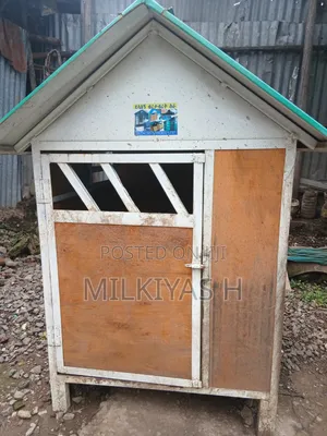 Dog House | የውሻ ቤት