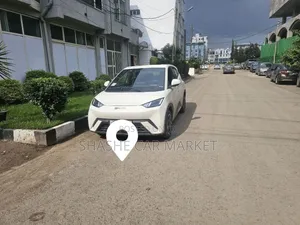 BYD Seagull 2025