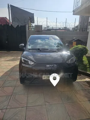 BYD Seagull 2024