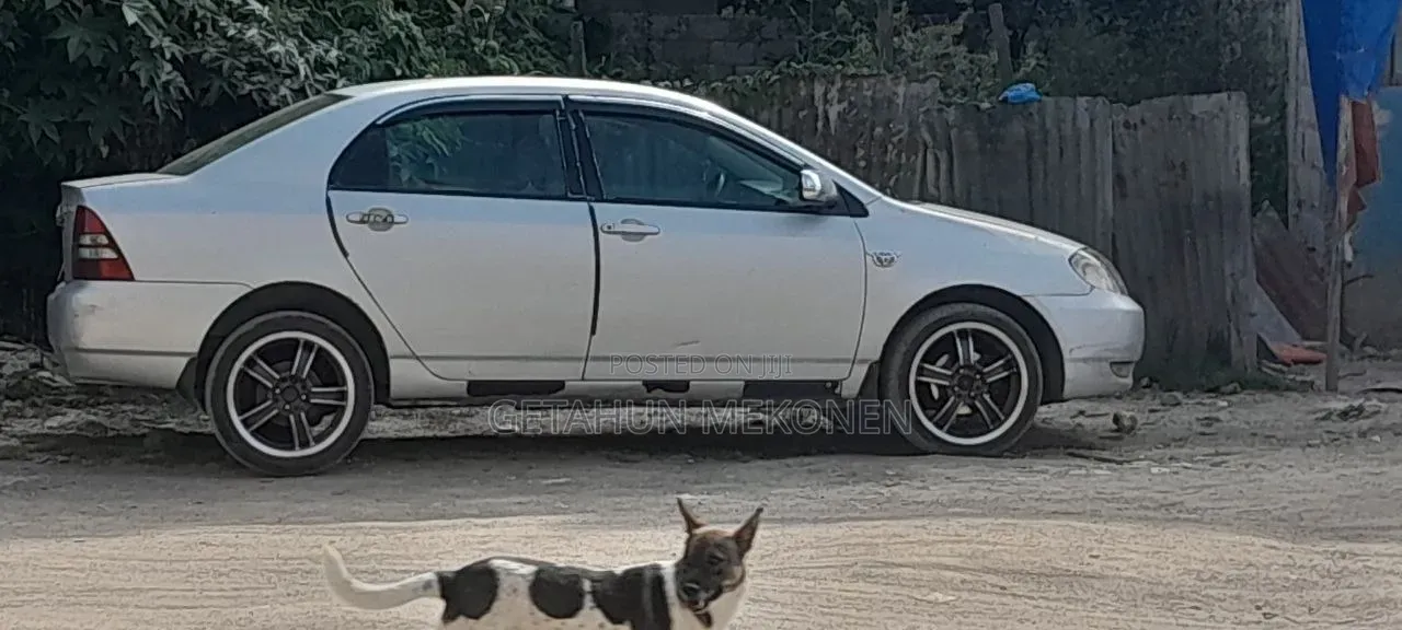 Toyota Corolla 2003 Silver