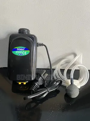 Airpump 2 Outlet