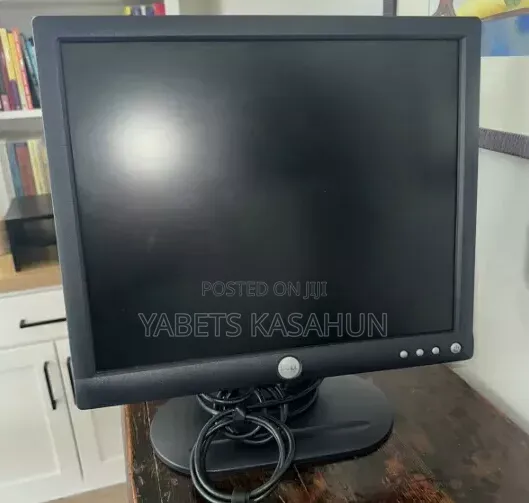 Dell 17 Inch Monitor