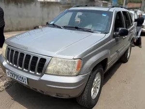 Jeep Liberty 2007 Silver