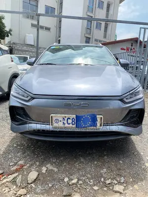 BYD E2 43 kWh 94 hp FWD 2025 Gray